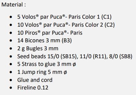 Star 2024 Christmas Pattern