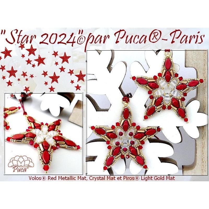 Star 2024 Christmas Pattern