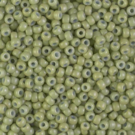 8/0 Duracoat Dyed Miyuki Seed Bead, Opaque Fennel, 4473