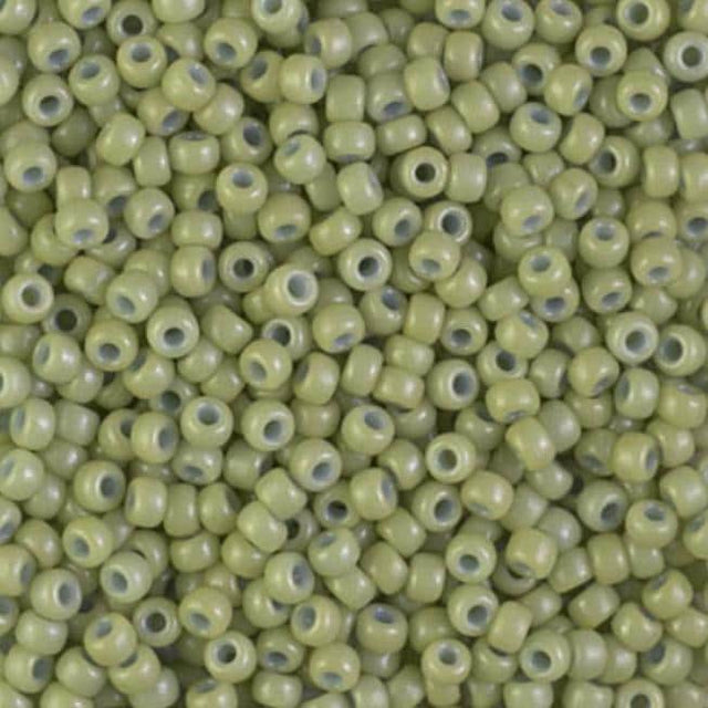 8/0 Duracoat Dyed Miyuki Seed Bead, Opaque Fennel, 4473