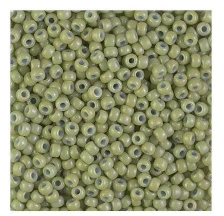 8/0 Duracoat Dyed Miyuki Seed Bead, Opaque Fennel, 4473