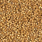 Duracoat Galvanized Matte Gold Miyuki Delica 11/0 DB1832F