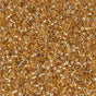 DB0033 11/0 24kt Gold Lined Crystal Miyuki Delica