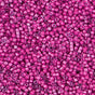DB2050 11/0 Luminous Jazzberry Miyuki Delica