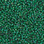 DB1788 11/0 White Lined Emerald AB Miyuki Delica