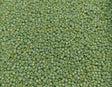 Semi Glazed Rainbow Honey Dew, 2632F 11/0 Toho Round Seed Bead, 10 Grams