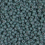 8/0 Duracoat Opaque Eucalyptus, Miyuki Seed Bead, 8-4481