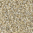 Duracoat Galvanized Silver Miyuki Delica 11/0 DB1831