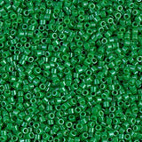 DB0655 11/0 Dyed Opaque Kelly Green Miyuki Delica