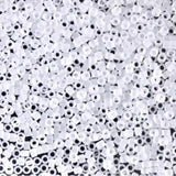 Matte Crystal Miyuki Delica 11/0 DB0741