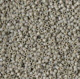 DB2282 11/0 Matte Opaque Glazed Cactus Miyuki Delica 
