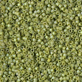 DB2309 11/0 Matte Opaque Glazed Seaweed AB Miyuki Delica