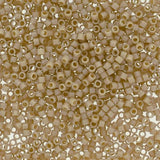 DB2364 11/0 Duracoat Opaque Dyed Moth Wing Miyuki Delica  