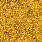 DB2061 11/0 Luminous Mix 1 Miyuki Delica Pineapple Upside Down Mix