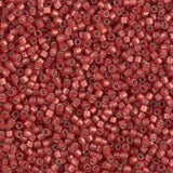 DB2173 11/0 Duracoat Silver Lined Dyed Light Watermelon Miyuki Delica