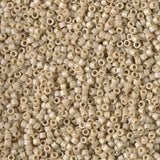 DB2301 11/0 Matte Opaque Glazed Moth Wing Miyuki Delica 