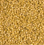 DB2302 11/0 Matte Opaque Glazed Citron AB Miyuki Delica