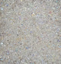 SuperDuo Crystal AB, 2 hole bead 2.5x5mm Czech Glass Beads