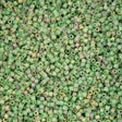 Cylin Bead 11/0 Verdara Lilac - 25 G Bag-CY11-1242