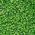 Cylin Bead 11/0 Opaque Spring Green - 25 G Bag-CY11-1069