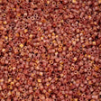 Cylin Bead 11/0 Verdara Peach - 25 G Bag-CY11-1246