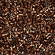 Cylin Bead 11/0 Silver Lined Brown - 25 G Bag-CY11-1020