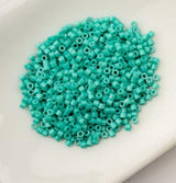 Cylin Bead 11/0 Opaque Turquoise Green - 25 G Bag-CY11-1061