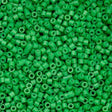 Cylin Bead 11/0 Green Kelly - 25 G Bag-CY11-1046