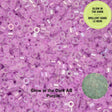 Cylin Bead 11/0 Glow in the Dark AB - Purple - 25 G Bag-CY11-1121 