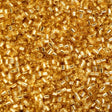 Cylin Bead 11/0 Gold Silver Lined - 25 G Bag-CY11-1200